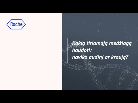 Video: Kokią kriauklę naudoti?