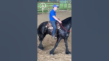 Tips For Working With A Hot Horse! Part 12 | The Horse Guru - Michael Gascon