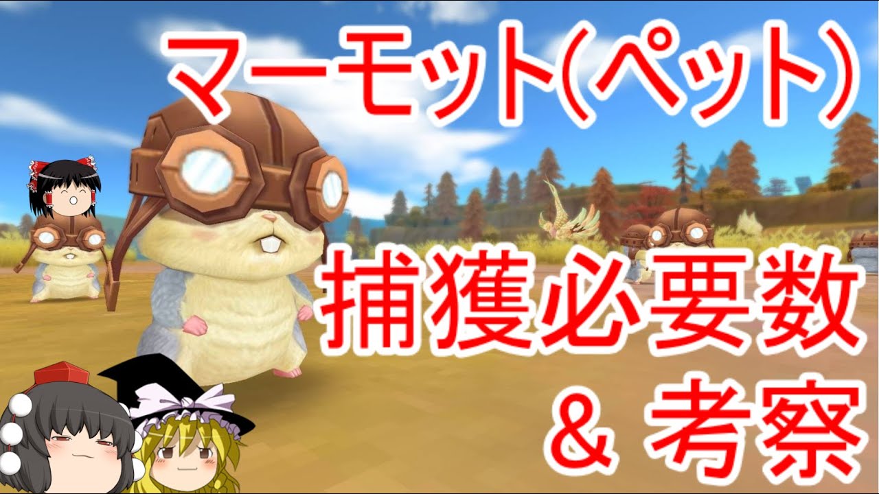 ゆっくり 捕獲必要数を間違えないで マーモットは６ あと能力についての考察 ラグマス Youtube