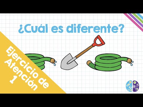 Video: ¿Qué son las actividades de discriminación visual?