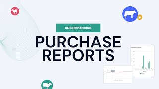 Understanding Purchase Reports