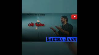 Farhan Ali Waris | Sakina Jan | Farsi | 2021 | سکینہ جان | اردو - فارسی  | پاکستانی