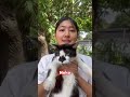 ¿Sabes Animales y su sonidos! en Japonés?🐶🐓🐷🐴🐵🐟🐸🐱