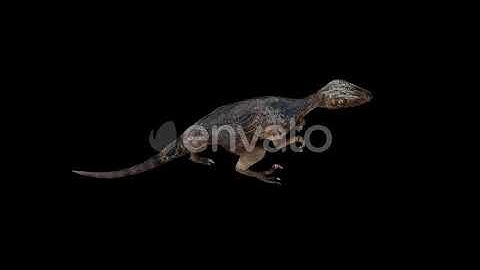 Deinonychus Walk Top View | Motion Graphics - Envato elements