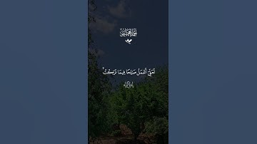 #قران #احمد_العجمي #quran #قران_كريم #تلاوة_خاشعة #alaa_mustafa_1