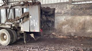 Manure makes the world grow