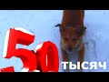 МУЗЫКАЛЬНЫЙ КЛИП НА 50 ТЫСЯЧ ПОДПИСЧИКОВ