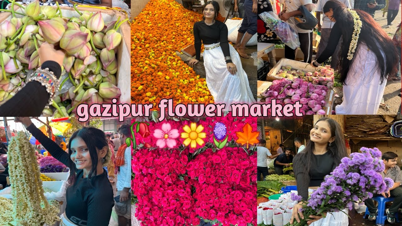 Gazipur flower market 🥀🌸🌻🪷 Starting prize Rs. 10 rupee🌹first visit in this market it is so amazing🤩