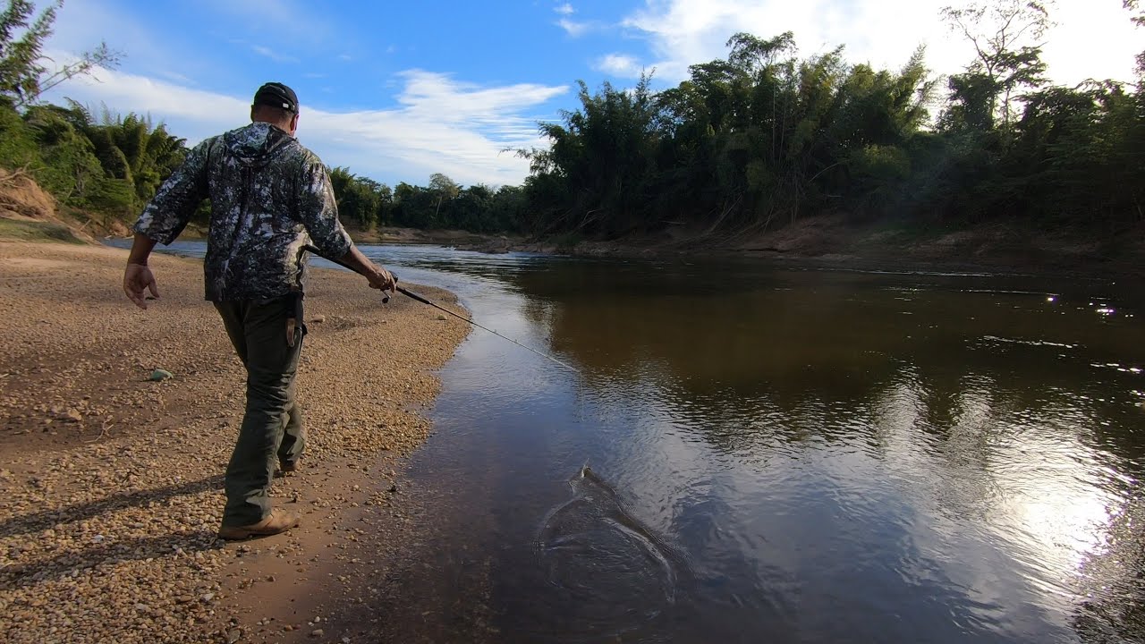 SEMPRE VALE A PENA PESCAR  NO RIO MIRANDA.
