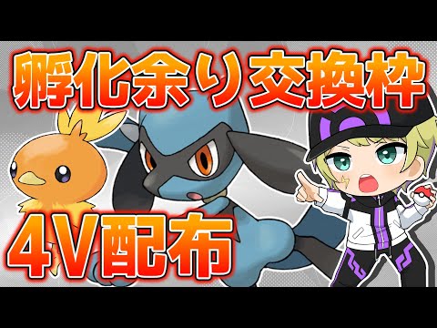 【#ポケモンBDSP】孵化余り配布＆交換枠‼️ リオル4Vいっぱいあるよ～💪【#ダイパリメイク】