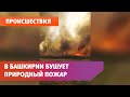 В Башкирии бушует природный пожар
