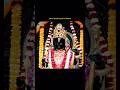 21/05/26 Shree Ramlala Darshan🌹#ayodhya #ramlala #ramlaladarshan #aarti #ramram #shorts #viralvideo