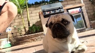 300,000 SUBSCRIBERS VLOG!! | FaZe Rug