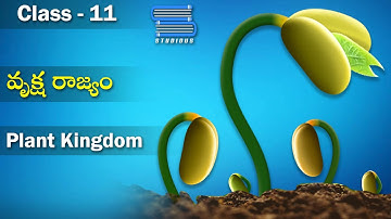 వృక్ష రాజ్యం  | Plant Kingdom Characteristics and Classification | Biology Class11 | StudiousTelugu