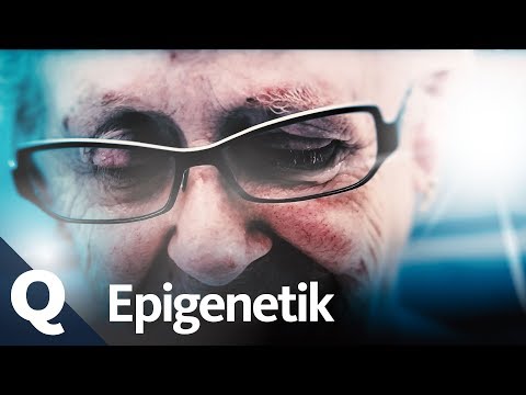 Video: Verursacht Epigenetik Krebs?