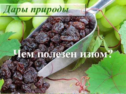 Чем полезен изюм. Польза изюма для организма человека