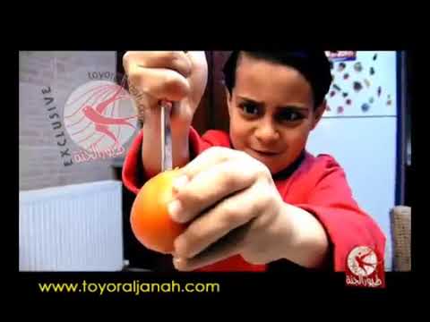 لعبوا بالسكين إيقاع من البوم ليش بتكذب قناة طيور الجنة WWW TOYORALJANAH COM 