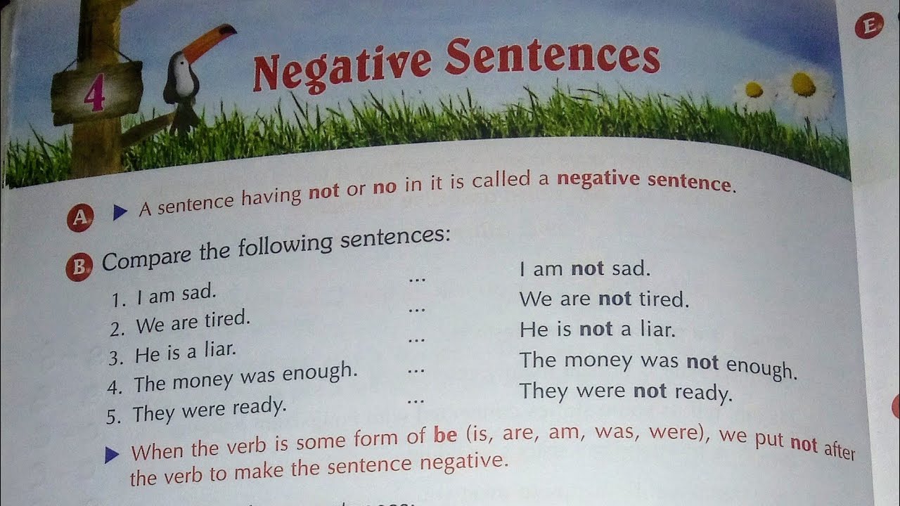 Negative Sentences Worksheet For Class 4