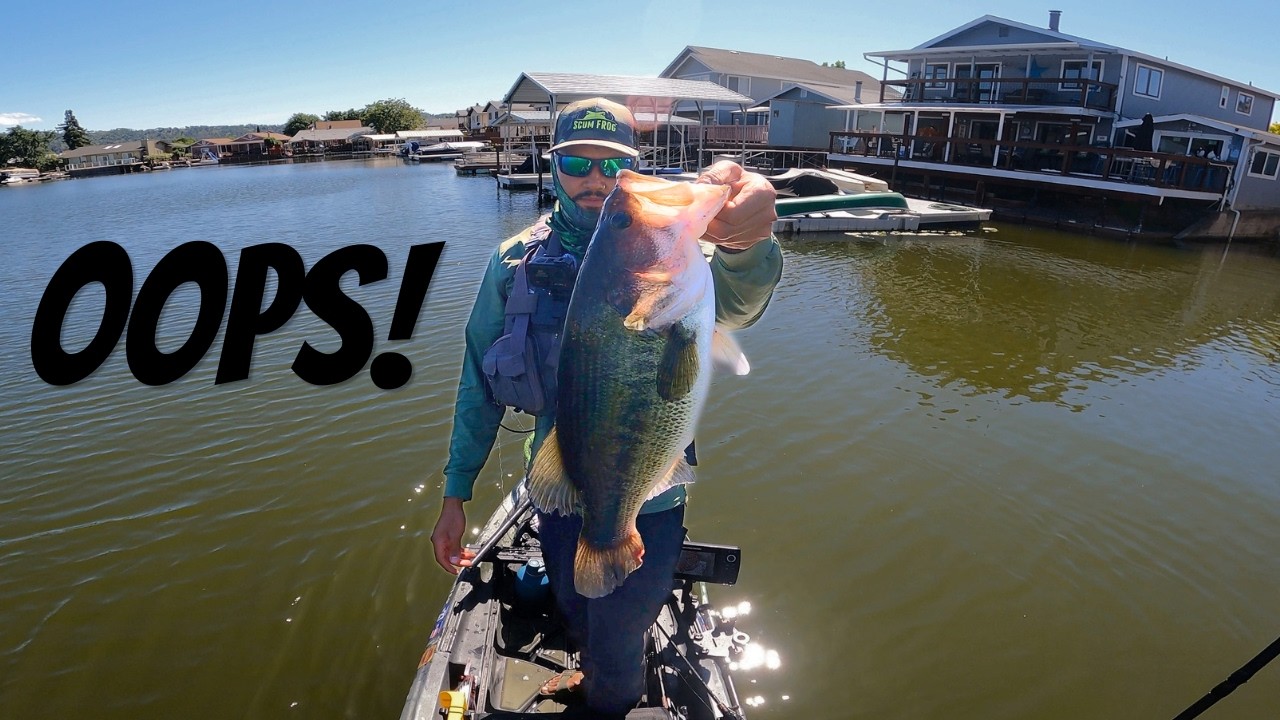 Catching Giant Bass in Practice? | Clear Lake YAB Practice