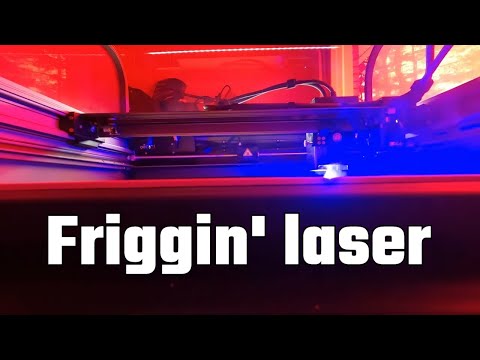 Unleashing Fun with