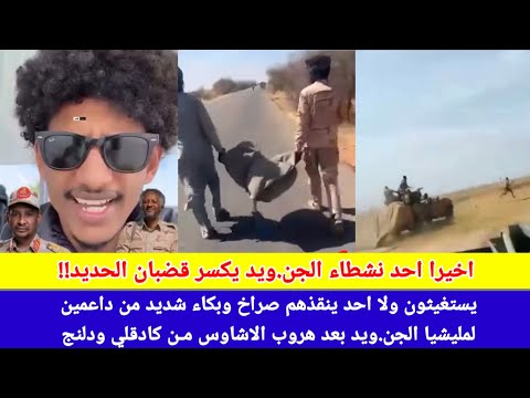 انبشك يستغيثون ولا احد ينقذهم صراخ وبكاء داعمين مشروع دويلة ال دقلو بعد الهزائم بمحور كادقلي ودلنج 