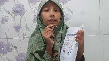 Shenna 3B Assessment PAI November 