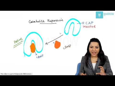NEET PG Biochemistry-Lac