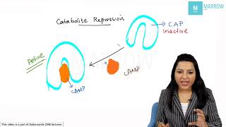 NEET PG Biochemistry-Lac Operon concept simplified -Dr Rebecca James