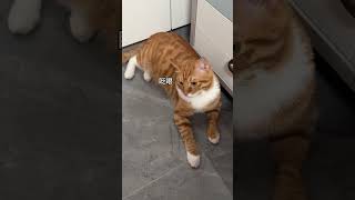 Dare To Sleep When Being Scolded