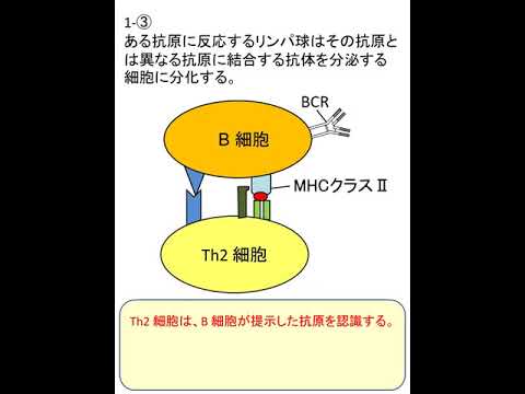 2020免疫学の基礎6（応用問題）