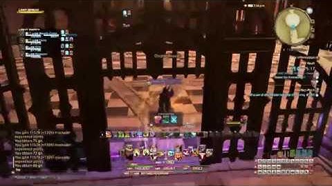 Final Fantasy XIV Squadron Leveling