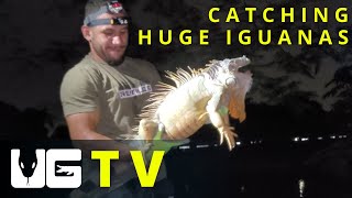 Underground Tv - Episode 3 - Catching Huge Iguanas In South Florida