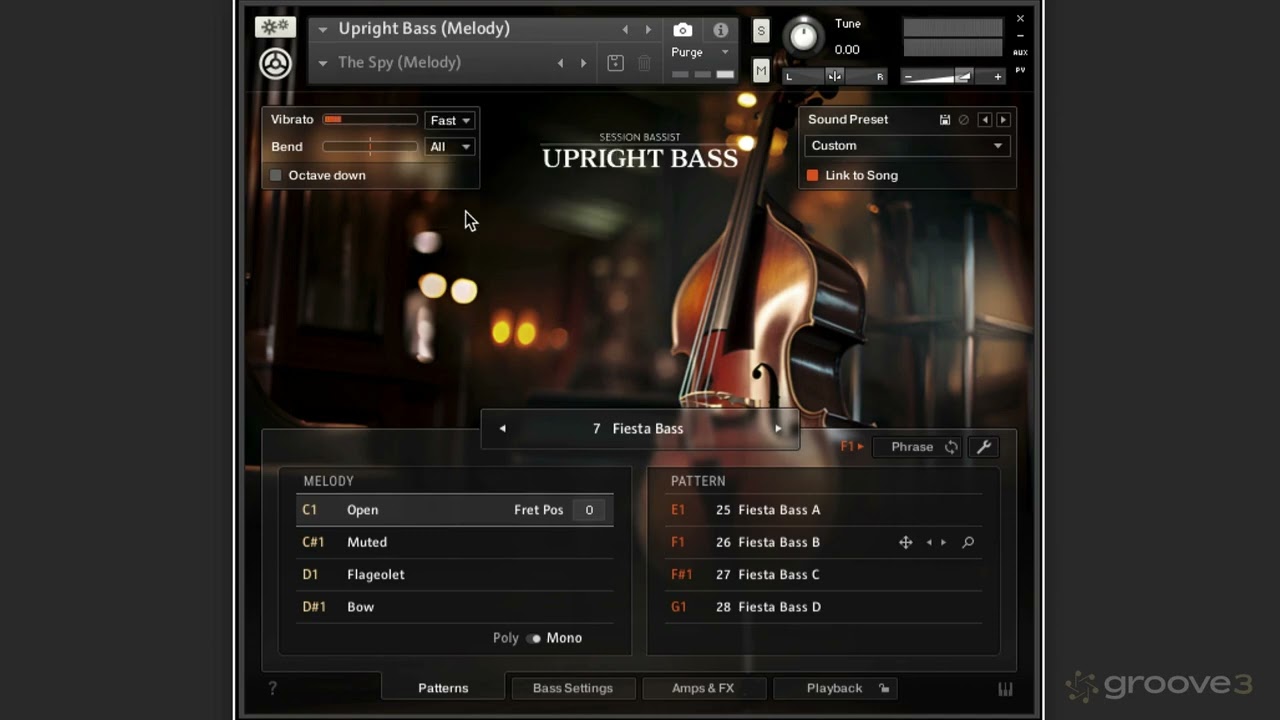 What is Session Bassist - Upright Bass?