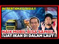 EDANN !! Pertama di Asia jalan bawah laut nampak ikan, ide padu Pak Jokowi !! 🇲🇾Reaction