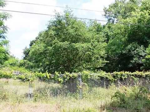 9920 Lewis Rd, Thonotosassa, FL home video tour