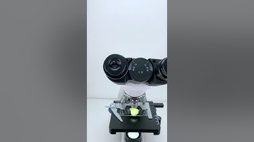 Cucumber look cool at 400x magnification!  #underthemicroscope #microscope #science#shorts