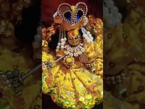 Teri baki ada ne o saware 🥰🌹#shorts# youtube shorts# laddu gopal shingar ❣️🌺