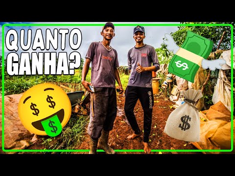 Vídeo: Quanto pode ganhar um agricultor orgânico?