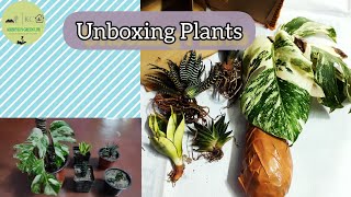 Plant Unboxing India | Online Plant Shopping | Plant Shopping by Krishyel's Green Life 3,679 views 9 months ago 5 minutes, 27 seconds