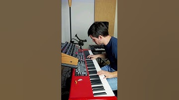 Lost in the world of prog synth 🎹🎶 Here