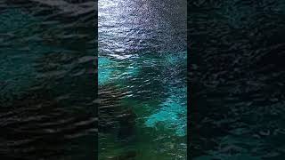 Mahşere Kaldı/ Kış Bana Kaldı/Yeliz Aral