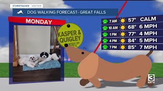 Dog-walking forecast (July 7, 2025)