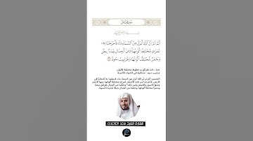الآية (27) من سورة فاطر//القارئ الشيخ سعد الغامدي.