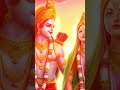 DJ SHEIZWOOD | Sanatani | #performance #live #stageshow | #youtubeshorts #trendingshorts