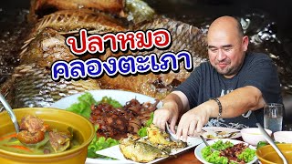 หม่อมถนัดแดก | ปลาหมอ คลองตะเภา | สดกว่านี้ต้องลงไปกินในน้ำแล้วหล่ะ