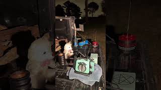 Exploring Haunted Cemetery With New Spirit Portal Box Spirit Says My Name?