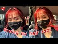 dyeing my hair red because im bored || tasha mae || merry sun cellowax || philippines