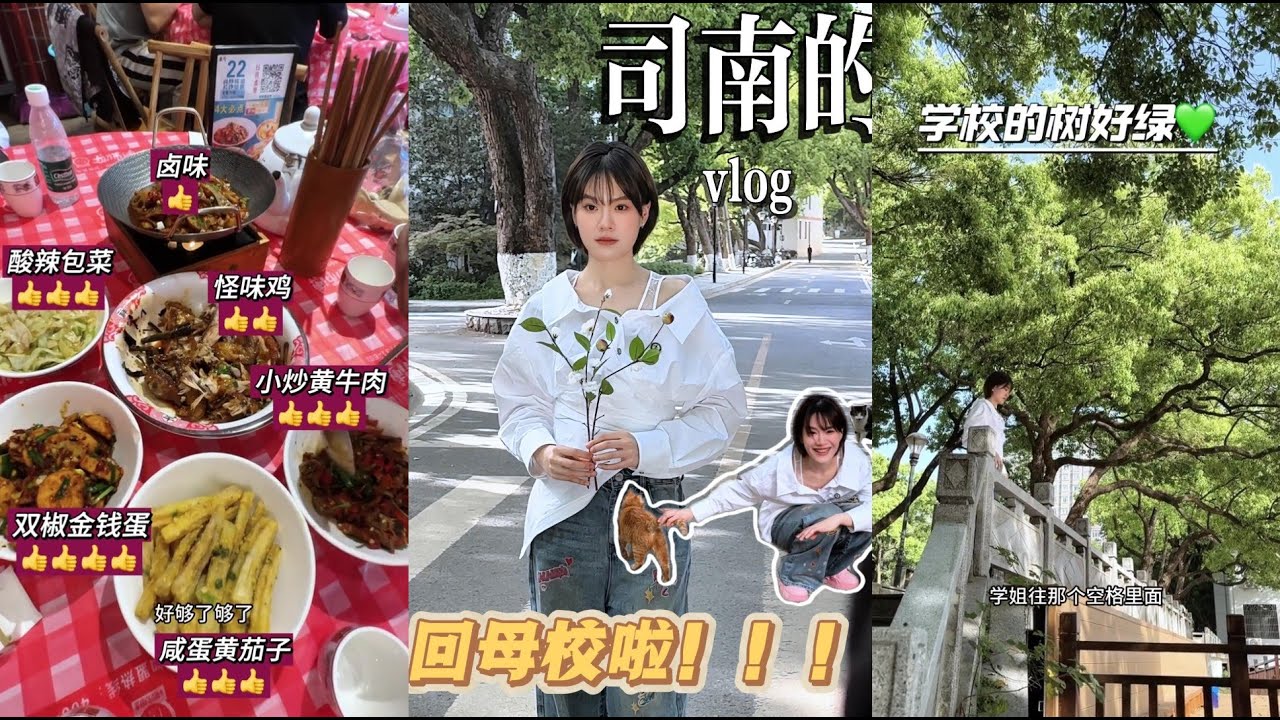 司南·vlog | 00後不太知名音樂人回母校的一天|vlog - YouTube