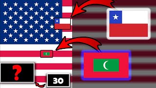 30 Hidden Flags in USA Flag