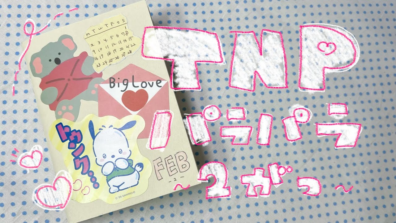 〈 手帳 〉TNPぱらぱら2月🍫￤サボりすぎ￤ほぼ白紙￤オタク￤トラベラーズノート￤手帳デコ￤雑談